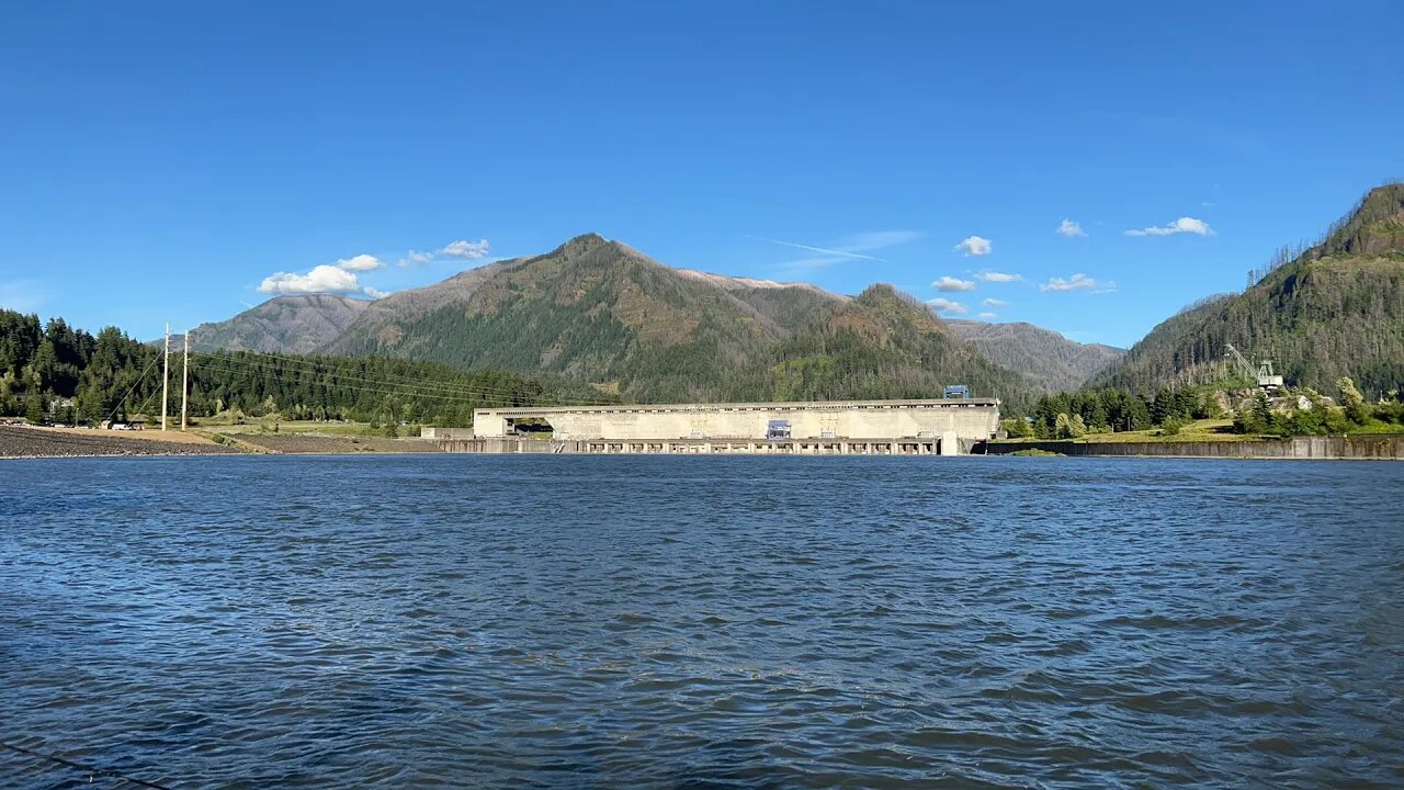 BONNEVILLE DAM Shad Fishing LIVE! (Part 2)