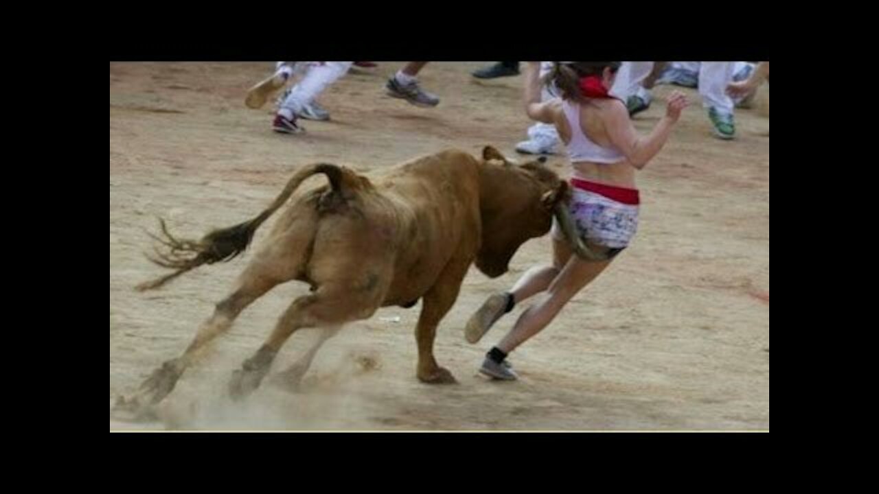 Best funny videos 2021 Most awesome bullfighting festival funny crazy bull fails