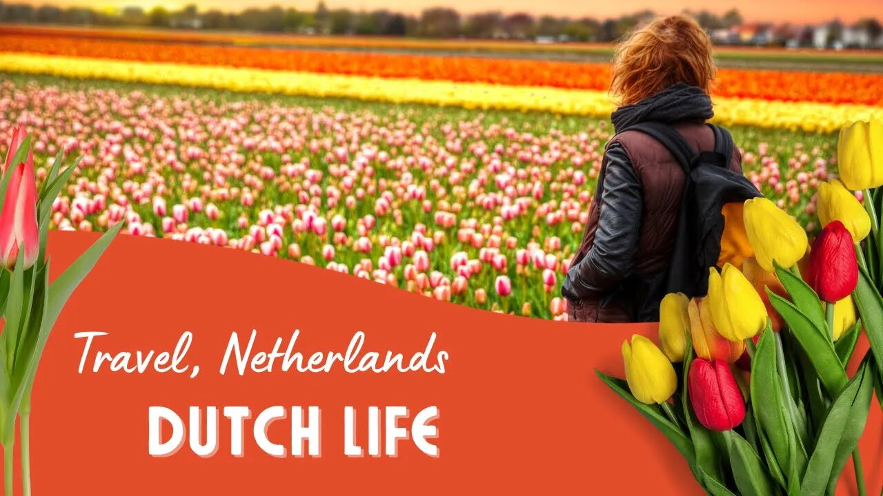 Netherlands Travel Guide on a Budget