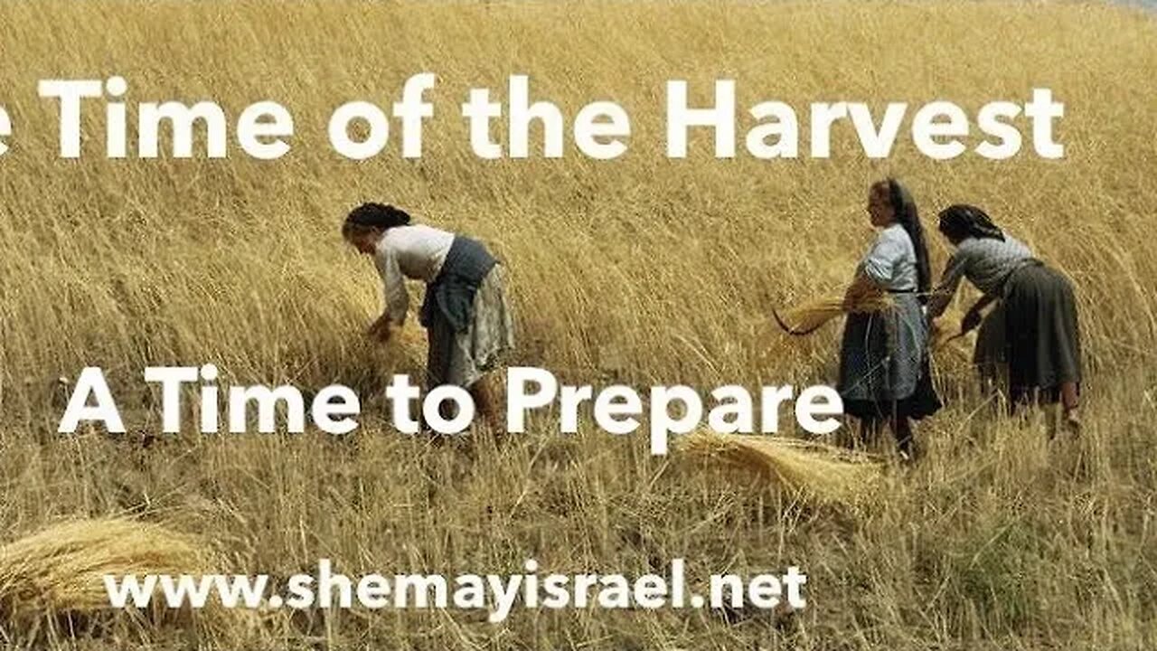 FAMINE INCOMING - A Time of the Harvest, A Time to Prepare