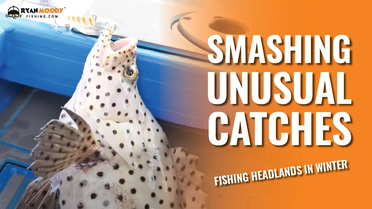 Smashing unusual catches fishing headlands in winter