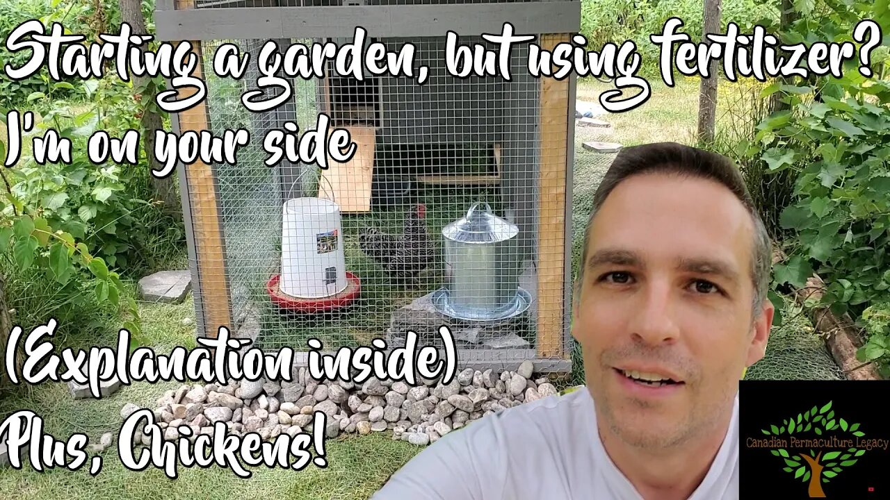 Stop thinking, just get started - A Chicken update