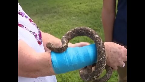 Snake Falls On Sky On Texas Woman; #Hawk Swoops in To Save Her