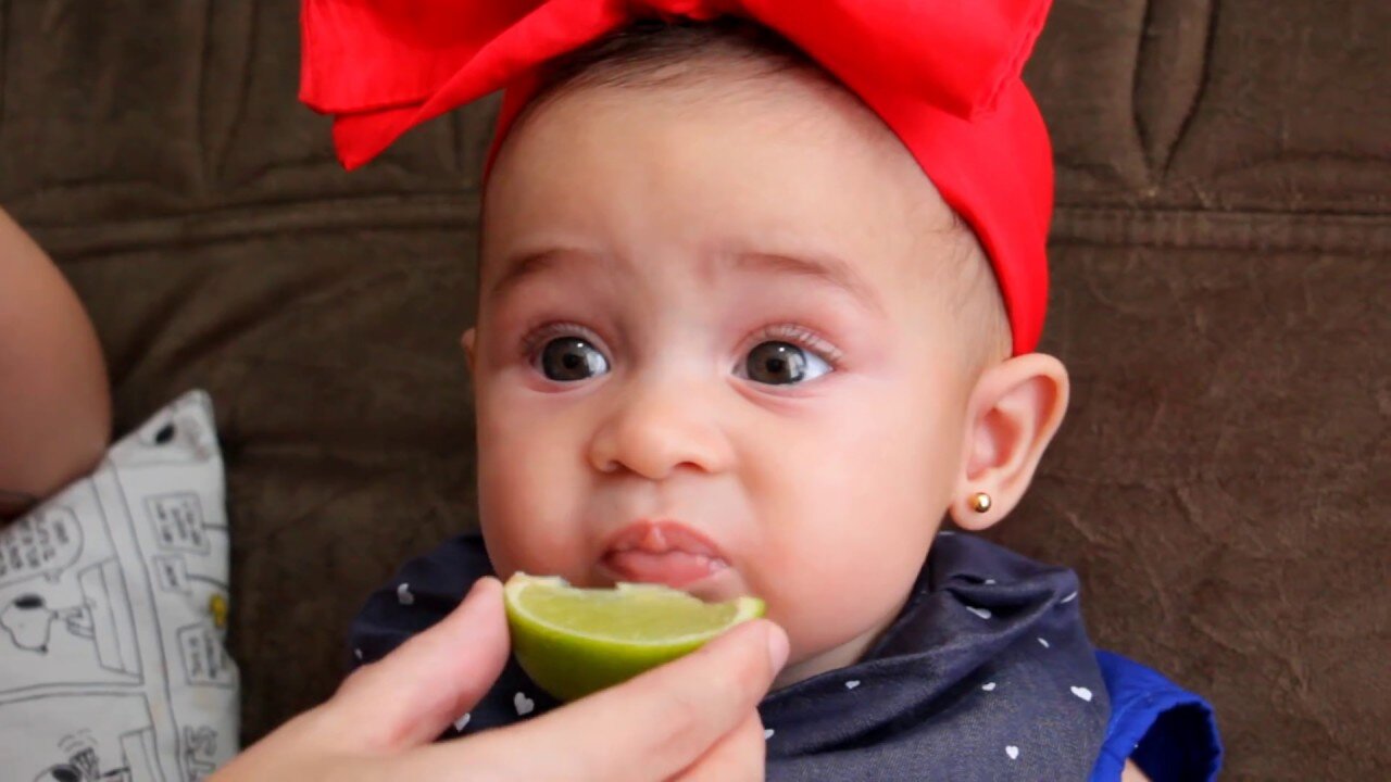 babies sucking lemon