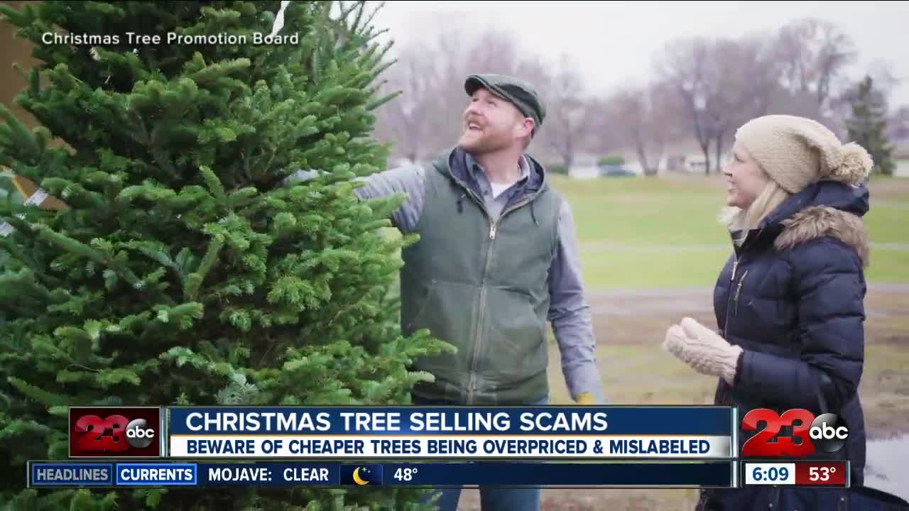 Christmas tree selling scams