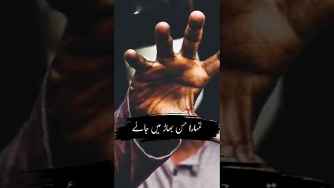 ab Ham khud per fida hai | status video| shayari video| poetry video| poetry| video | TikTok |shorts