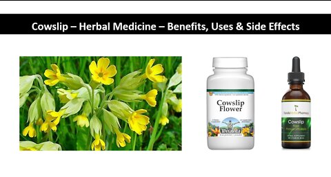 Cowslip Herbal Medicine Benefits, Uses & Side Effects