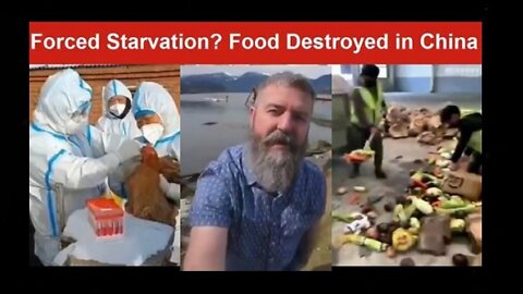 Destruction of Food Begins in Shanghai China with Fences Installed to Keep People Locked Down!