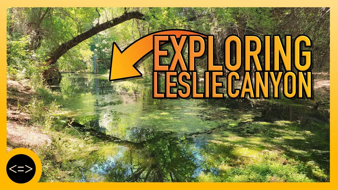 Exploring Leslie Canyon and searching for Frogs