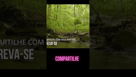 QUAL A QUALIDADE DE SUAS ATIVIDADES, SADHGURU DUBLADO