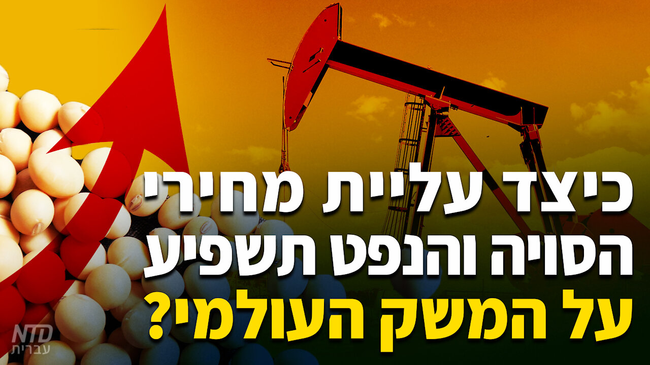כיצד עליית מחירי הסויה והנפט תשפיע על המשק העולמי?