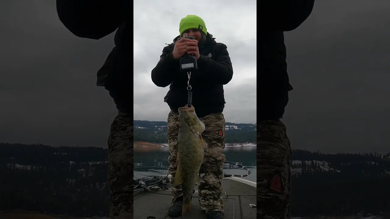 HUGE 9 Pound Smallmouth Bass Caught on Camera