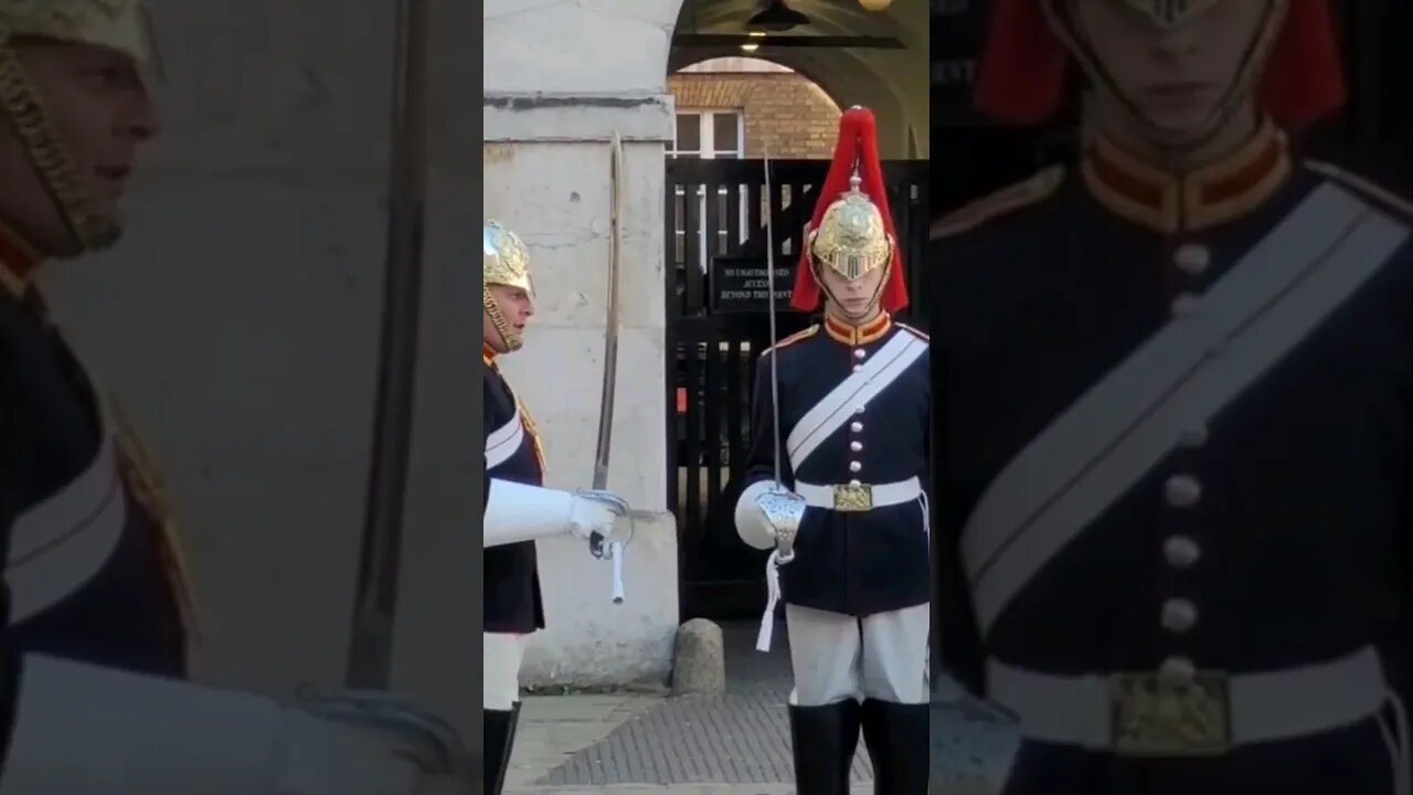 order at the end #horseguardsparade
