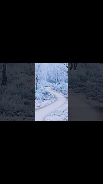 Relaxing Calm Nature Music