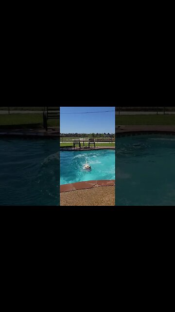 great day for a dip.