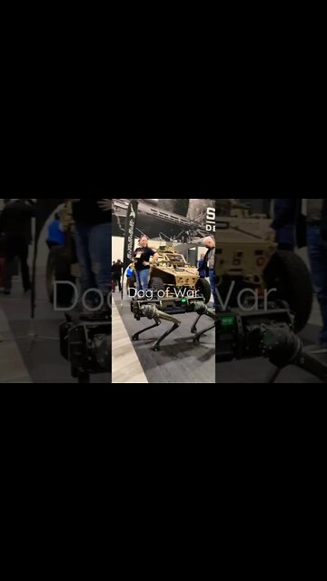 Robot Dog does tricks