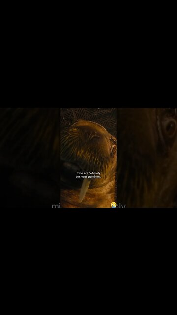 Small scene of Guardians of the Galaxy Vol 3 #shorts #movie #guardiansofthegalaxy #rocketraccoon