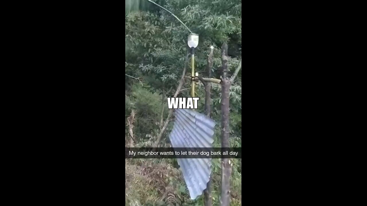 WHAT