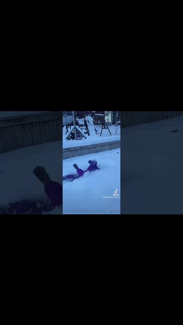 #shorts by #tinyjuniorpeanut at #activatestudio