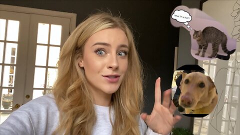 VLOGMAS DAY 6: Dog meets cat
