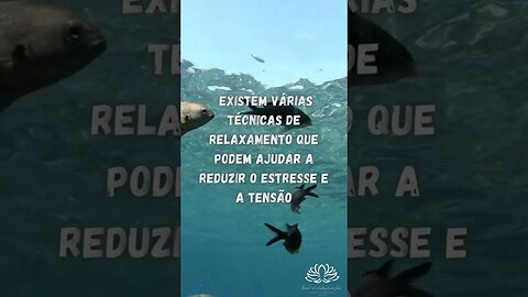 Dedique tempo para relaxar e descansar. #relaxar #relaxamento #descanso #descansomental #descansar