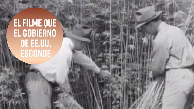 El filme de 1942 que el gobierno de EE.UU. quiere que olvides