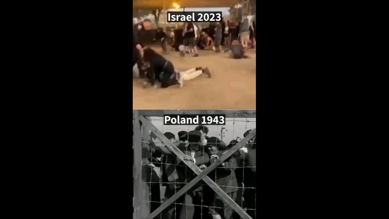 1943 / 2023 - We will NOT Forger and NOT Forgive!