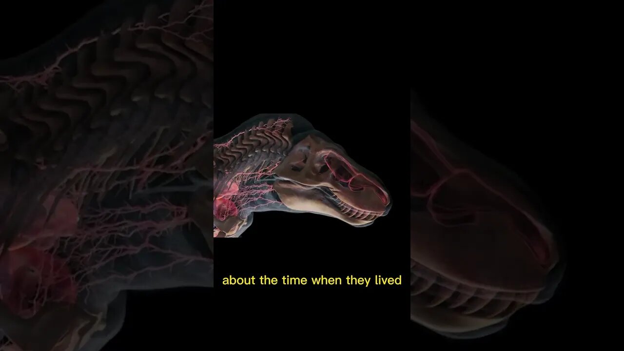 How Dinosaurs Disappeared? part-15