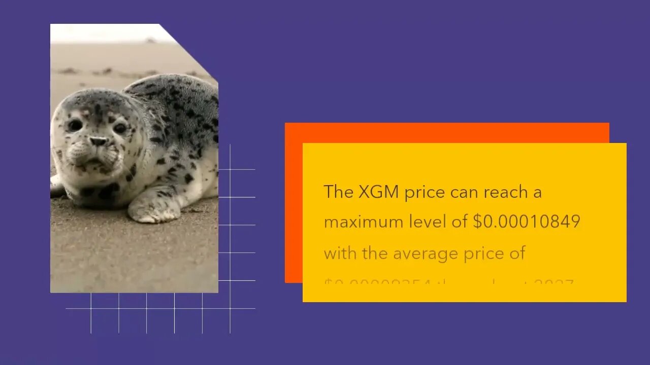 Defis Price Prediction 2023, 2025, 2030 XGM Cryptocurrency Price Prediction