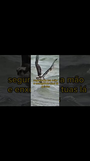 TRAGO UMA MENSAGEM DE DEUS PRA VOCÊ OUÇA ...