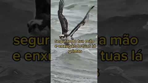 TRAGO UMA MENSAGEM DE DEUS PRA VOCÊ OUÇA ...