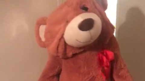 A Teddy Bear Falls Down