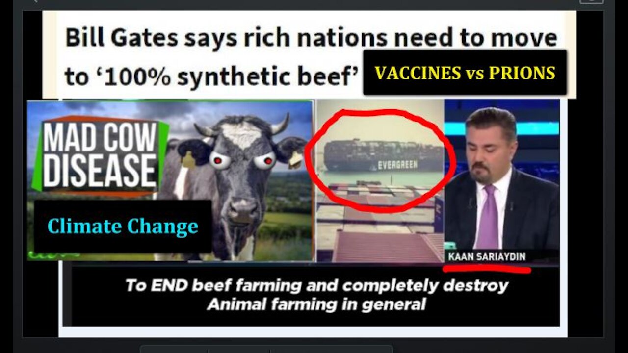 Prediction: We Are in Trouble If Gates Mentions That 'Cows Fart Too Much' at Biden's Climate Summit