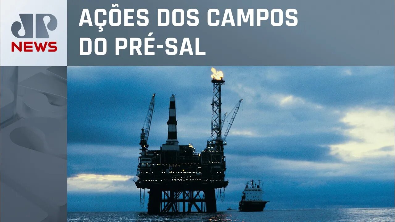 Petrobras bate recorde de captura de CO2 em 2022