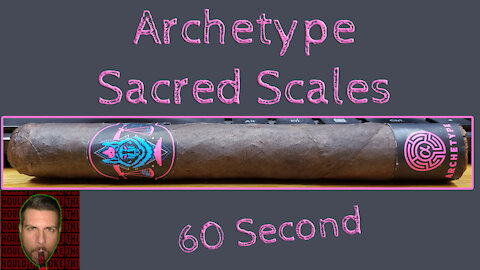 60 SECOND CIGAR REVIEW - Archetype Sacred Scales - Should I Smoke This