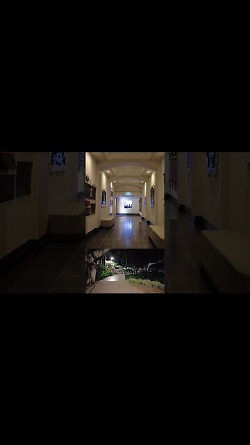 BRISBANE CITY WALKING TOUR EXPERIENCE || QLD - Australia