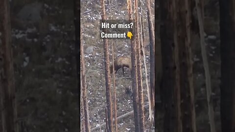 hit or Miss #hunting #elkhunting #elk #hit #miss #wyoming #shortsvideo #shortsfeed #outdoors