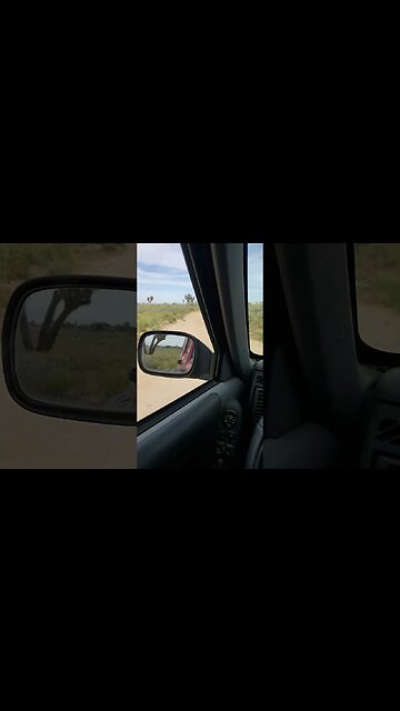 This is why electric Jeeps make no sense! #short #shorts #shortsvideo #shortvideo #shortsfeed