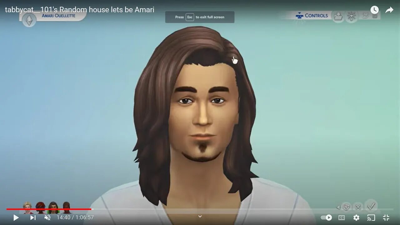 tabbycat__101's Random house lets be Amari