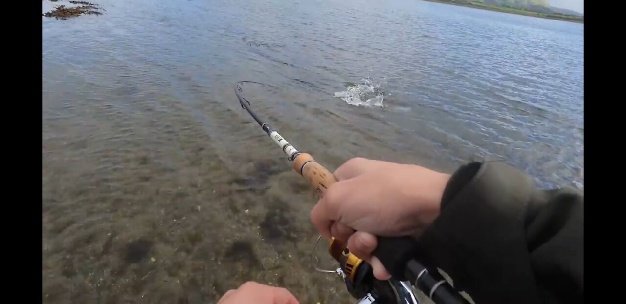 Sea Trout Fishing Sligo