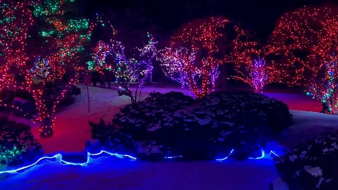 Winter Light Festival Brings In Over 30,000 People | May 23, 2023 | Micah Quinn | Bridge City News