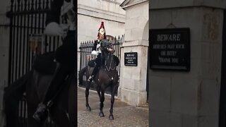 Horse playing up #horseguardsparade