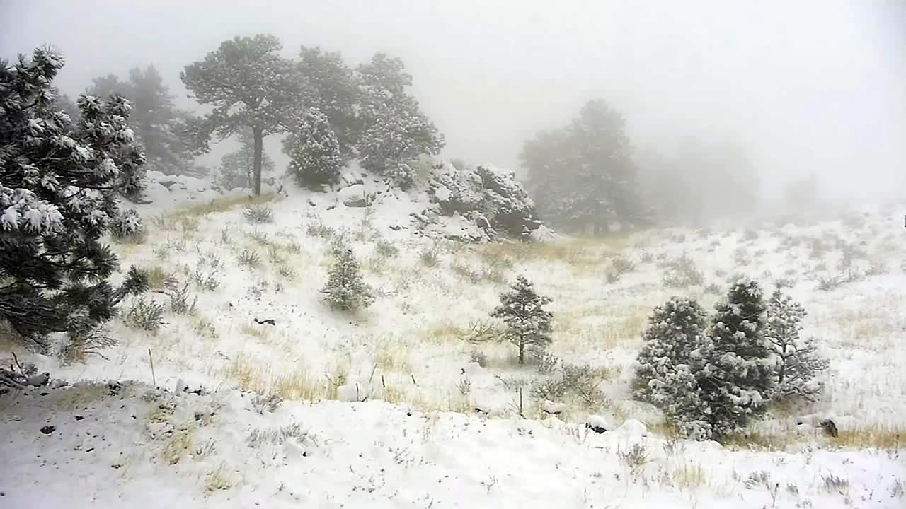 Snow expected across Denver metro area all day Friday