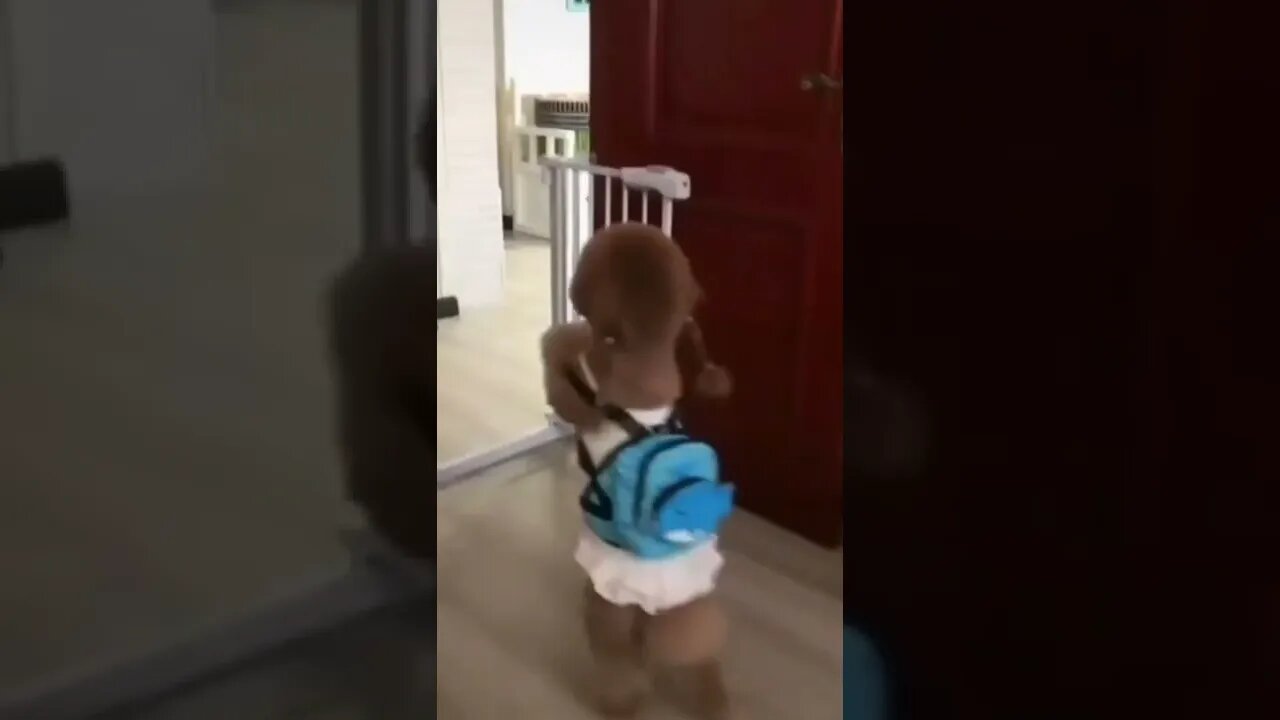 I m going to school l #shorts