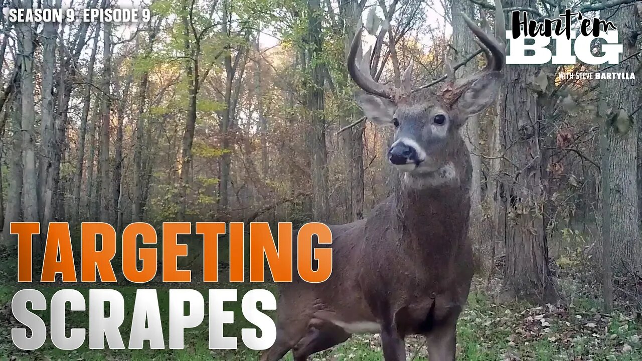 The Best Time to Hunt Buck Scrapes