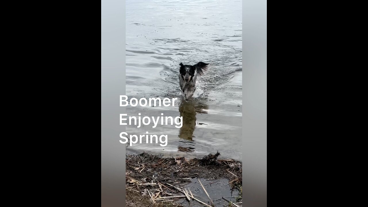 Boomer - Mud And More