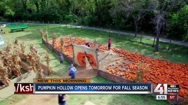 Pumpkin Hollow offers family fun, fall activities in Overland Park