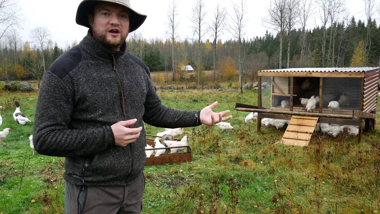 Fenceless Mobile Chicken System (That One Person Can Move By Hand)