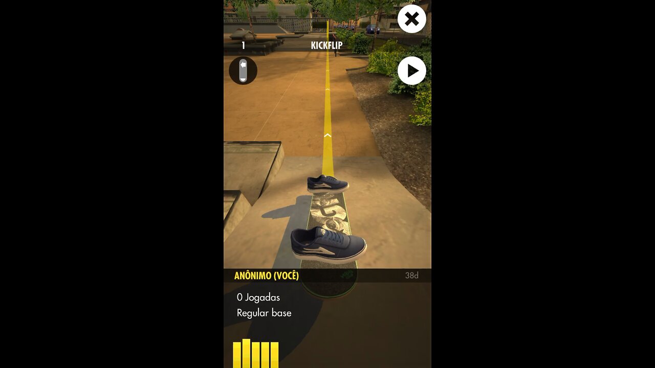 Skateboarding - gameplay skater