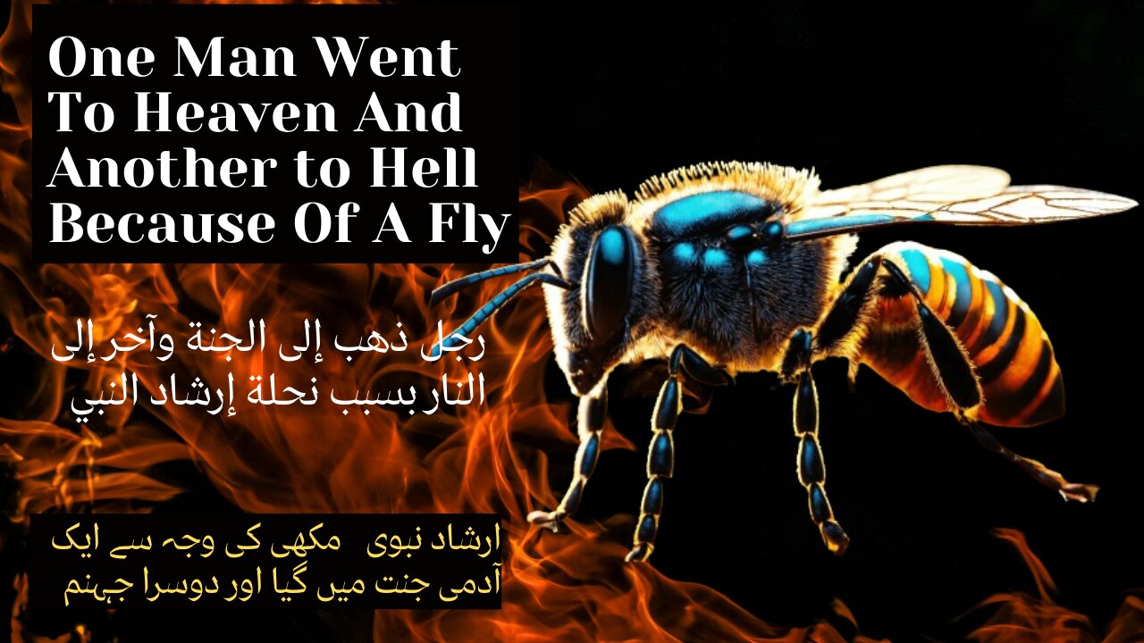 One Man Went To Heaven And Another Went To Hell , Because Of A Fly